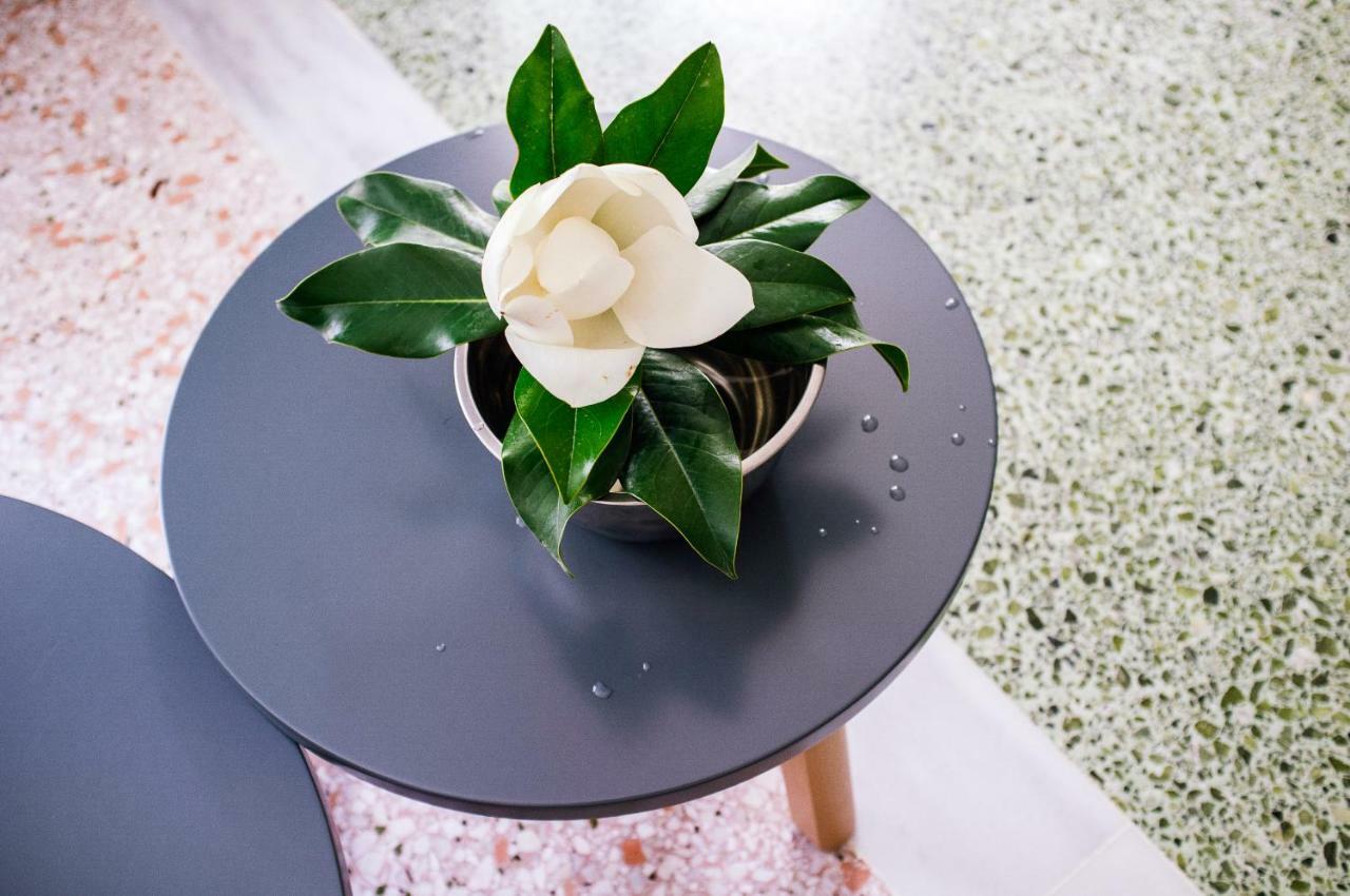Vouliagmeni Art Micro Loft Διαμέρισμα Αθήνα Εξωτερικό φωτογραφία